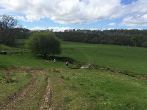 SS Sponsored Walk 2018 - 1