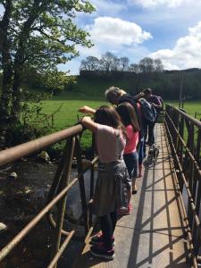 SS Sponsored Walk 2018 - 2