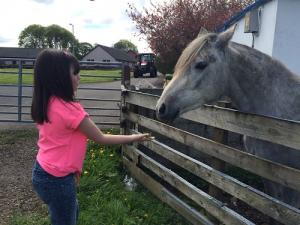 SS Sponsored Walk 2018 - 6